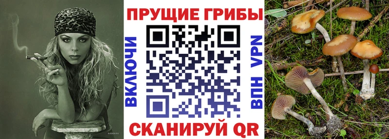 omg маркетплейс  что такое наркотик  Хотьково  Галлюциногенные грибы MAGIC MUSHROOMS 